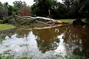 Yarra Ranges Council releases community grants for storm anniversary
