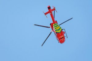Man airlifted following snake bite
