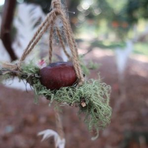 Events galore in April at Healesville’s Coronation Park