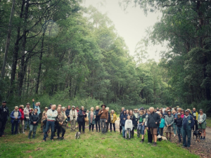 Rally against proposed logging near popular Toolangi walking tracks