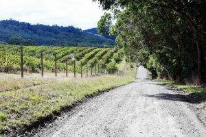 Agribusinesses are positive about push for sealed roads