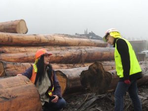 Bill amendment to deter dangerous protest activities in timber harvesting zones.
