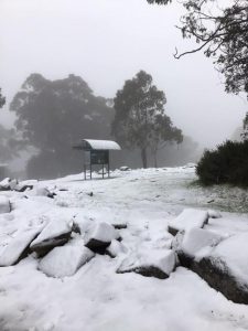 First snow of the year on Mt Donna Buang