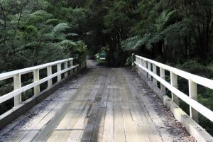 Bridge works to improve access to the Redwood Forest