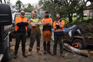 Tree instability still to be felt for years to come following June storm