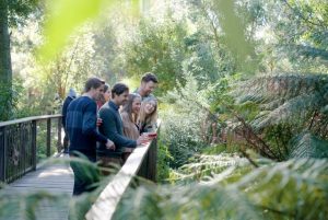 Cheers to 10 years of Wine & Wildlife at Healesville Sanctuary