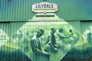 Calls for volunteers and members for the local show