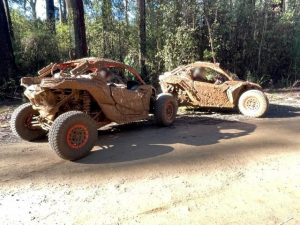 High performance buggies intercepted in Toolangi