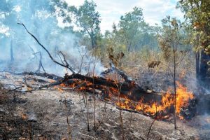 Changes to Fire Danger Ratings changing nationwide