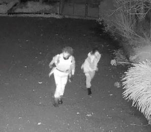 Police seeking information from CCTV on IGA fire in Warburton