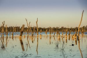 Documentary Lake of Scars to screen in Healesville