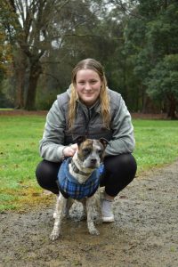 Paws at the ready for Guide Dogs fundraiser
