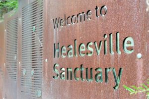Free entry for kids to Healesville Sanctuary