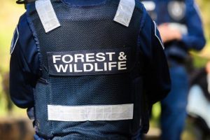 Patrols target Illegal firewood collectors this spring season