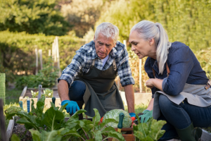 New garden program a part of storm recovery