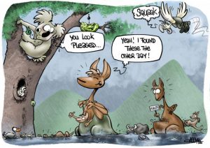 CARTOON: Floods