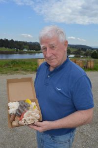 Major morel mushroom breakthrough for Healesville grower
