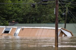 Three… organisations to donate to flood relief