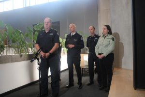 Rainfall causes concern for bushfire season