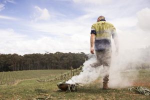 Beenak Vineyard opens under Treasury Wine Estates