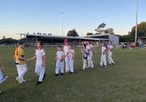 Healesville cricket juniors claim wins