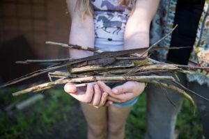 Bundled branches collections to start late November
