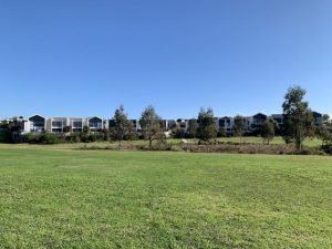 Council investigates future town growth
