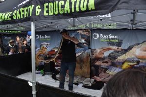 Snakes slither out as the Yarra Ranges warms up