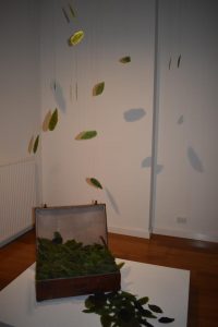 New exhibit at The Memo reflects on concerns for the environment