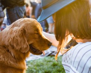RSCPA gives tips on how to prepare pets for summer