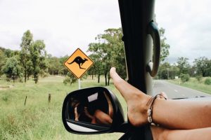 What to know before you hit the road these holidays