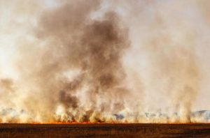 Be weary of hot vehicles and machinery sparking grass fires