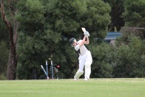 Healesville Cricket Club’s season shaping up