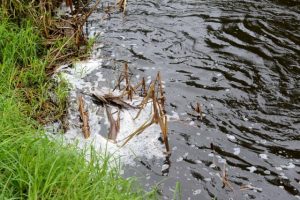 New data from local water raises concern around water quality
