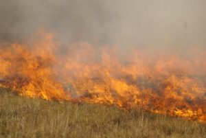 Threat of grassfires rises