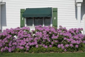 Cut energy usage while beating the heat
