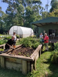 Get your garden gossip on at the library