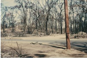 ‘Smiles gone from their faces’: Yarra Junction CFA on Ash Wednesday