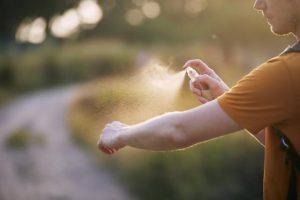 Mosquitoes breeding and biting over summer