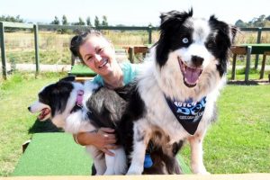 Adventure Dog is back at the Valley for largest event yet