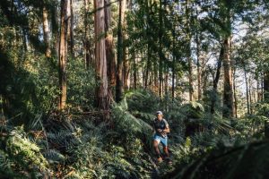 Great Forest National Park Film captured via ultra run