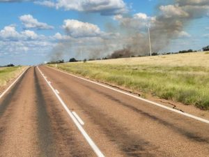 Healesville Fire Brigade respond