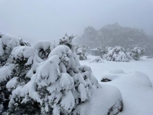 What to enjoy over our the cooler months