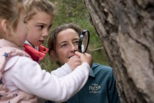 Yarra Ranges Junior Rangers descend this school holidays