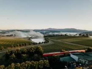 Oakridge voted top winery