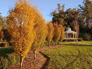 Wingspread Garden opens to the public