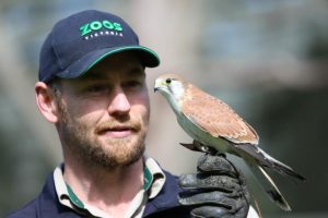 April Healesville Sanctuary strike action continues
