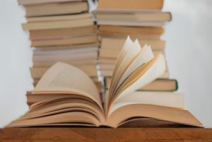 A cohesive blend of facts and fiction