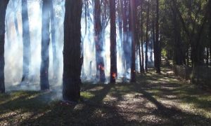Badger Creek burn offs today