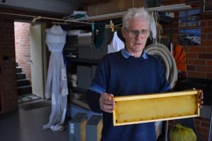Bees bed down for winter